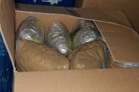 Pronađeno oko 400 kilograma skanka, vrijednosti veće od milion KM