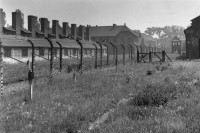 (Ne)namjerna greška ili skandal? "Aušvic oslobodila američka vojska"
