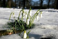 Promjenljivo oblačno i toplo, temperatura do 15 stepeni