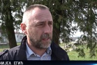 У стрним житима за сада нема биљних болести