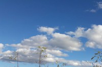 Данас облачно, послије подне разведравање