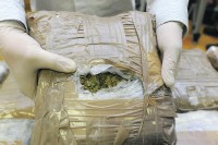 Pronađeno šest kilograma marihuane, uhapšeno jedno lice