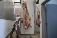Odobren izvoz govedine iz BiH u Ujedinjene Arapske Emirate