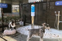 Na aerodromu u Osaki mezimci imaju sobu za odmor s bazenom