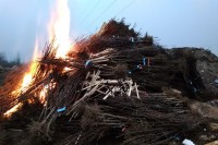 Инспектори забранили увоз 12.280 заражених садница крушке из Белгије: Избјегнута милионска штета у воћњацима