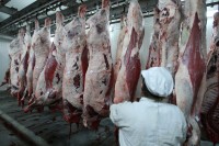 Свако тржиште важно, али домаће је најважније
