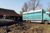 За подстицаје исплаћено 3,6 милиона км