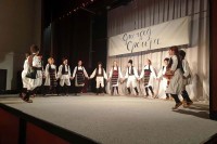 Одржана манифестација "Српчад Србији"