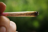 Banjaluka: Kod maloljetnika pronađena marihuana