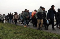 Šef Misije Međunarodne organizacije za migracije: U BiH se dnevno može očekivati i do 10.000 migranata