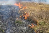 Požar tokom paljenja niskog rastinja izmakao kontroli