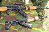 Kod dvojca iz Čelinca pronađene tri poluatomatske puške