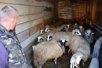 На село дошао са пар новчића у џепу, а данас je један од највећих фармера у БиХ