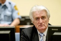 Karadžić: Samo je SDA željela dominaciju nad drugima u centralizovanoj zemlji