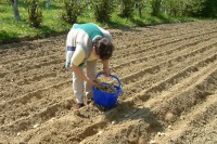 Одгођено плаћање закупа земљишта, бесплатни пакети за сјетву