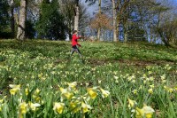 Danas toplo, temperatura vazduha i do 20 stepeni
