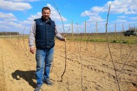 Воћари да на вријеме заштите засаде од мраза