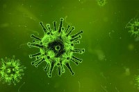 Novi virus korona mutira, ima osam vrsta