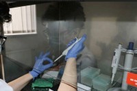 Zaražene 83 osobe na području Hercegovačko-neretvanskog kantona, najteže u Čitluku