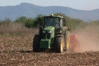 Производња поврћа процијењена на 240 милиона KM
