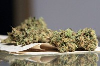 Mrkonjić Grad: Pronađena marihuana kod prekršioca zabrane kretanja