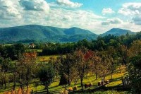 Misterija Jelice traje vjekovima: Po kome je ova planina dobila ime?