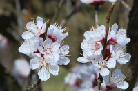 Наредних дана стабилно сунчано и топло вријеме