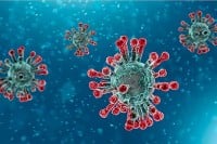 Kako se na hrvatskom kaže virus korona?