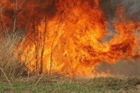 Bosansko Grahovo: Požar na dvije lokacije, vatra se približila minskom polju