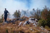 Modriča: Lokalizovan šumski požar u Tolisi