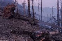 Након цјелоноћне борбе локализиран пожар на Рујишту