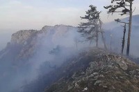 Након цјелоноћне борбе локализиран пожар на Рујишту