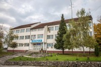 Detalji incidenta u Derventi: Poznanicu udario sjekirom