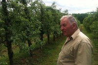 Дојчиновић: Мраз додатно оштетио воћке
