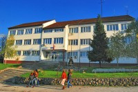 Dervenćanin pucao iz gasnog pištolja, pa ometao rad policije