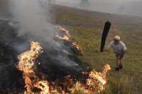 Hitno otkriti počinioce izazivanja šumskih požara