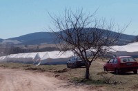 Kamp „Lipa“ spreman za  1.000 ljudi, predstavnici Srba nezadovoljni: Migrantima sve obezbijeđeno za mjesec, srpskim povratnicima ni za 25 godina