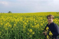 Сјетва уљарица у БиХ повећана за 20 одсто
