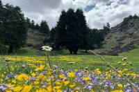 Данас промјенљиво, на југу киша