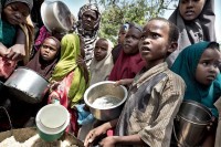 FAO: Broj gladnih u Africi može se povećati pet puta