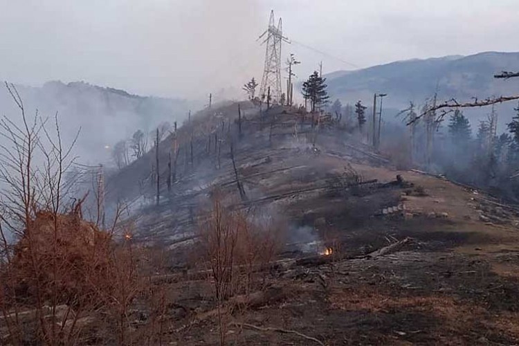 Након цјелоноћне борбе локализиран пожар на Рујишту