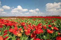 Сутра знатно топлије