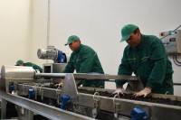 Помоћ већ затражило 3.600 фирми