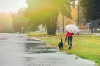 И данас пљускови, крајем дана смањење облачности
