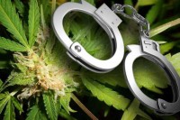 Kod tri lica pronađena marihuana