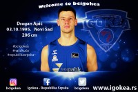 Apić u Igokei