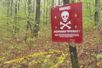 Kлепић: У Српској заостало 30.000 мина