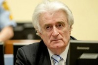 Odbijen zahtjev Karadžića za diskvalifikovanje sudija i žalba