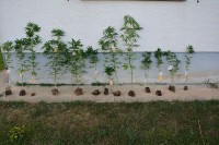 Pretres kuće u Prijedoru, pronađena droga, oružje, bomba, mine