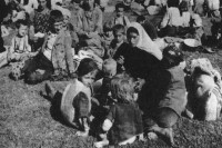 Nijemci i hrvati izvršili genocid nad srpskim stanovništvom